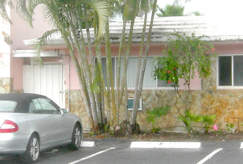landscape cleanup and renovation